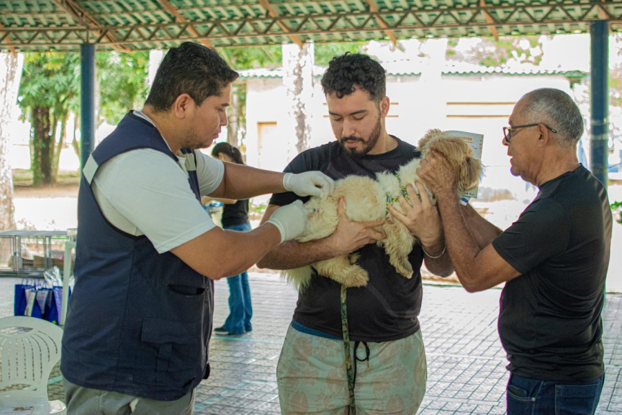 Prefeitura de Rio Branco promove grande ação de proteção animal com 936 vacinas e 30 adoções
