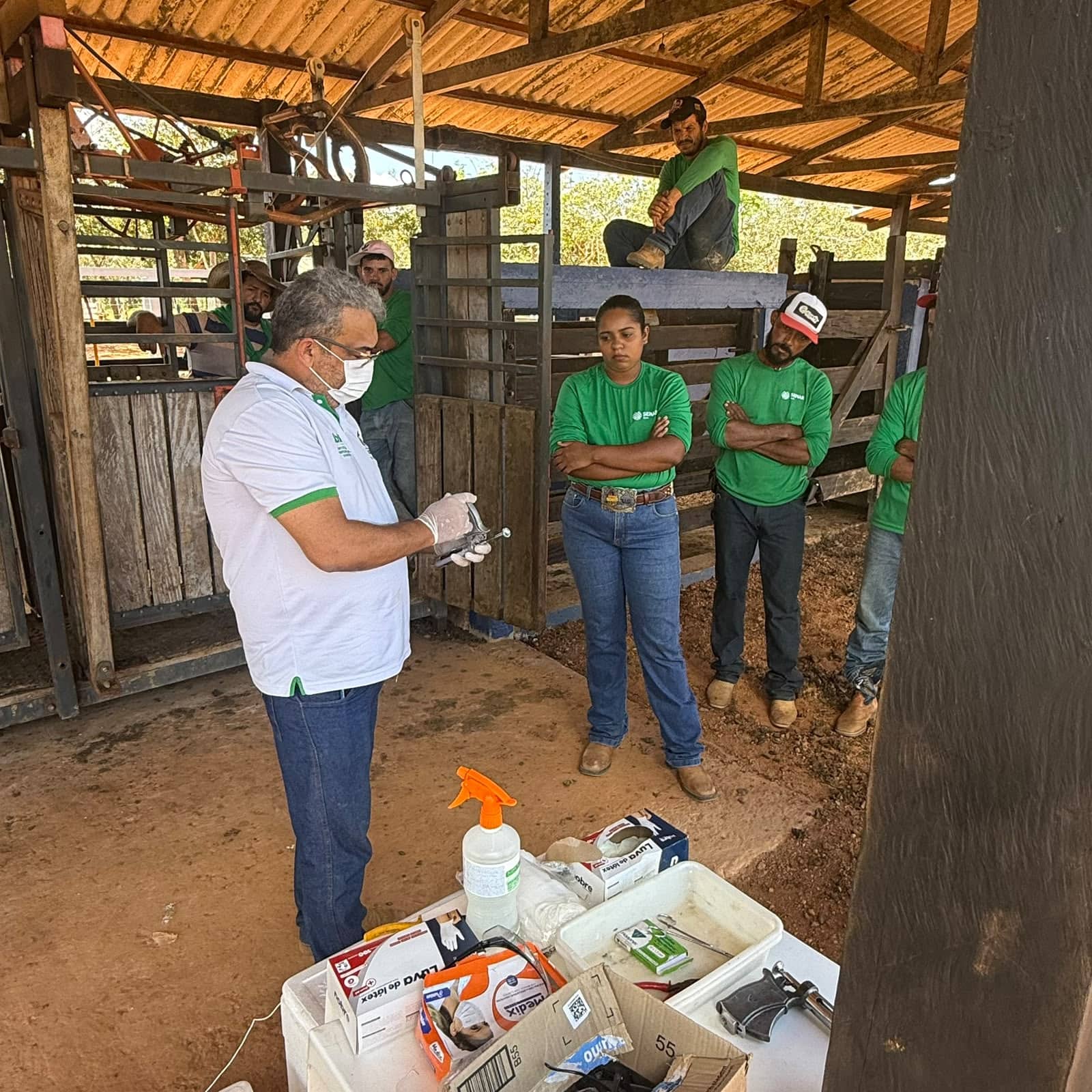 Curso de Agente Vacinador contra a Brucelose amplia cobertura vacinal de fêmeas bovinas e bubalinas no Acre